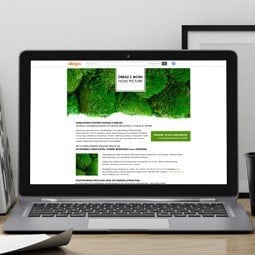 Projekt szablonu aukcyjnego