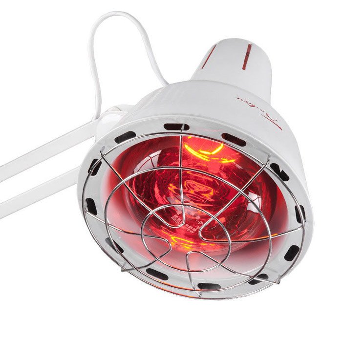 fotografia wyposażenia salonu kosmetycznego